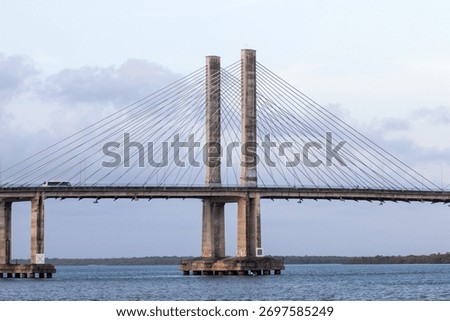 Cable-stayed bridge over the river