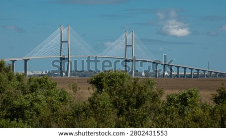 Cable-stayed Sidney Lanier Bridge in Brunswick, Georgia, USA.