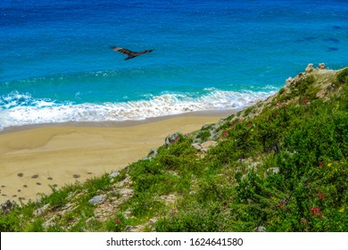 Cabo San Lucas Beach, Los Cabos Mexico 