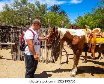 Cabo San Lucas, Mexico - 2019. Young Man Touching A Horse.