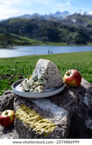 Cabrales, artisan blue cheese made by rural dairy farmers in Asturias, Spain from cow’s milk or blended with goat, sheep milk with Picos de Europa mountains and Covadonga lake on background