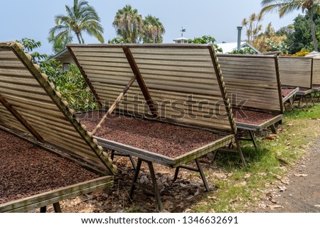 Similar – Image, Stock Photo Cacao beans drying in the sun at Roça Diogo Vaz