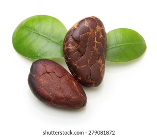 Cacao Beans Isolated On White Background