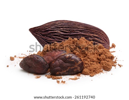 Cacao beans and powder isolated on white background