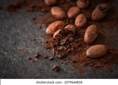cacao beans and cacao powder on dark background 