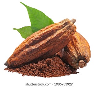 Cacao Or Cocoa Fruits Isolated On White Background