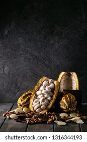 Cacao Fruit Decorated With Fresh And Dry Cacao Beans And Cacao Products: Cacao Butter And Chocolate. Copy Space