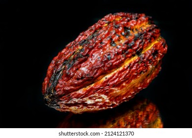             Cacao Fruit On Black Background                   