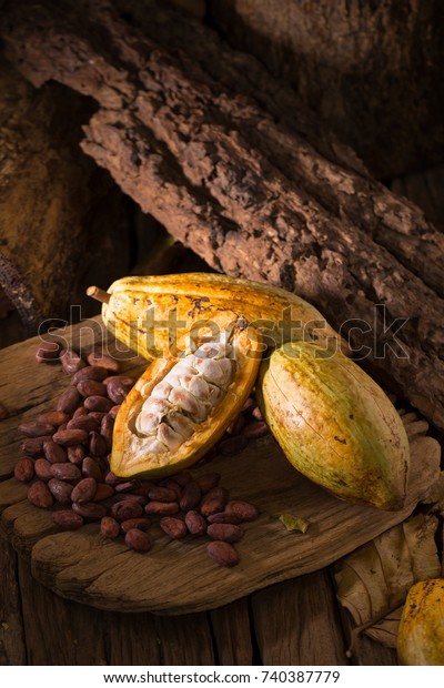 Cacao fruit, raw cacao beans, Cocoa pod on\
wooden background.