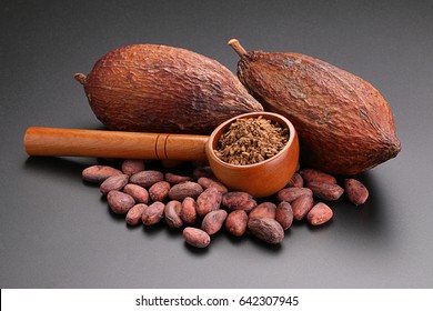 Cacao pods, butter and beans and cacao powder with leaves on black background
