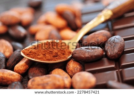 Cacao powder, beans and chocolate on wooden background, closeup.