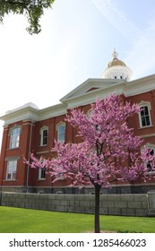 Cache County Utah Visitors Center With A Blooming Tree In Front And Cement Wall