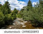 Cache la Poudre canyon as it approaches Fort Collins, CO.  Huge rock bluff, blue sky and trees.  Rocky background.  Reflective water. Scenic area with blue sky, Tall mountain, green bushes and trees.