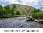 Cache la Poudre canyon as it approaches Fort Collins, CO.  Huge rock bluff, blue sky and trees.  Rocky background.  Reflective water. Scenic area with blue sky, Tall mountain, green bushes and trees.