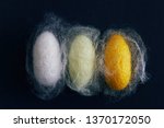 Cacoon of silkworm. Differents colours and types. Dark background. Larva, worm and month.