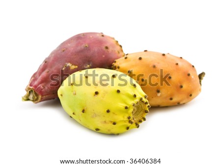 cactaceous fig on white background
