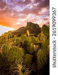 Cacti and clouds frame the stone edges of the Superstition  Mountains outside Phoenix, AZ.