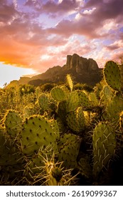 Cacti and clouds frame the stone edges of the Superstition  Mountains outside Phoenix, AZ.