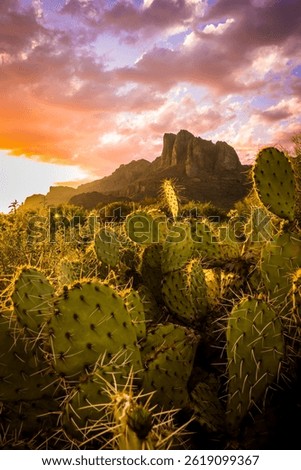 Cacti and clouds frame the stone edges of the Superstition  Mountains outside Phoenix, AZ.