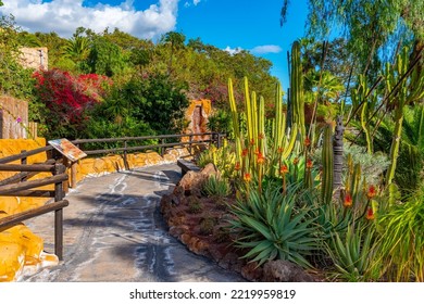 Cacti Garden At Tenerife, Canary Islands, Spain.