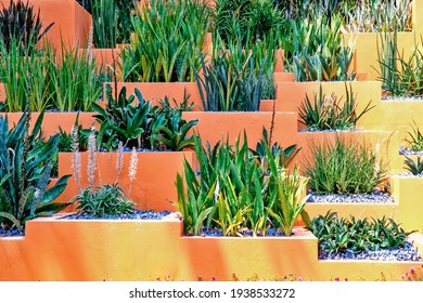 Cacti Grow On A Multi-tiered Concrete Flower Bed. 