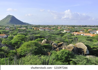 Cacti Landscape View From Casibari Rock Formation, Aruba