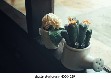 Cactus