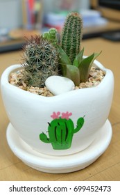Cactus