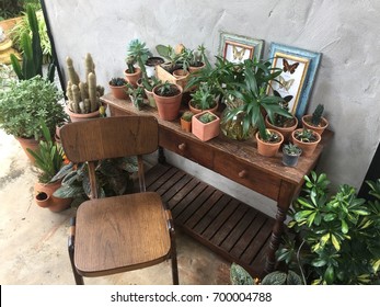 cactus