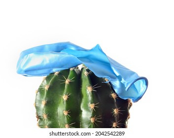 Cactus And Baloon Concept Of Danger, Inattention And  Vulnerability