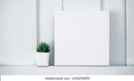 Cactus And Blank Square Canvas For A Mockup Template.