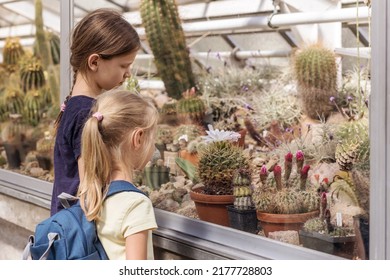 Cactus Botanical Garden. Children on Excursion in Botanical Garden. Variety of Cacti in Greenhouse.  - Shutterstock ID 2177728803