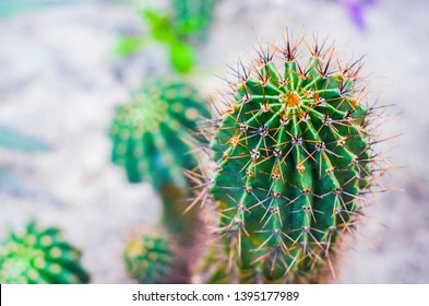 Mescaline Sombrero