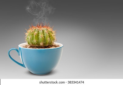 Cactus In Coffee Cup. It Is Idea Beverage Bad Taste Similar Options Like Cactus. Drink Hot Smoke. With Clipping Paths.