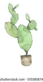 Cactus Painting Images, Stock Photos & Vectors | Shutterstock