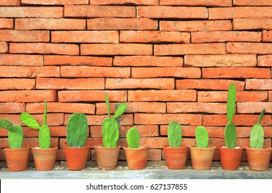 cactus in flowerpot on classic orange brick wall for home interior and exterior decor or modern architecture background with copy space