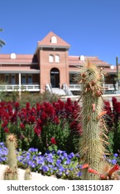 Cactus And Flowers In Front Of Old Main At The University Of Arizona In Tucson