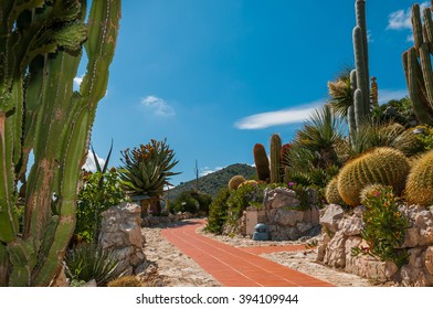 Cactus Garden Of Cote D'Azur
