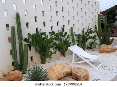 The cactus garden has a white wall behind it with beautiful chairs to sit.