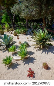 Cactus Garden Near The Shrine Of The Báb At Bahai Gardens, Haifa, Israel