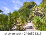 Cactus garden in Park of Villa Ephrussi de Rothschild at Saint-Jean-Cap-Ferrat, France