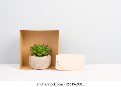 Cactus In A Gift Box With An Empty Tag For Text, In A Pot On A Gray Background, Minimalistic Decoration, Plant At The Desk, Modern Home, Greeting Card 