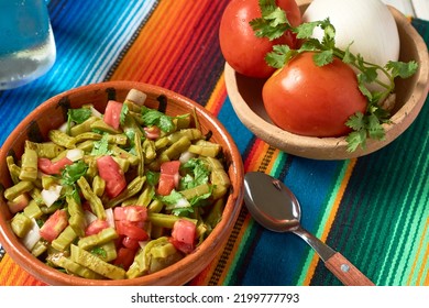 Cactus Nopal Salad, Exotic Mexican Vegetarian Food.