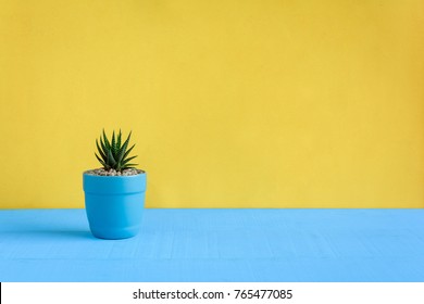 Cactus on the desk with yellow wall background and color pastel style - Powered by Shutterstock