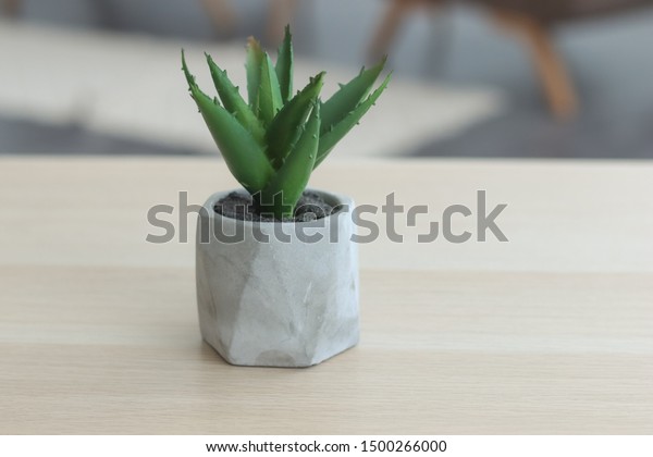 Cactus On Office Desk Stock Photo Edit Now 1500266000