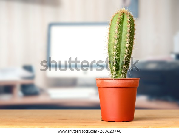 Cactus On Office Desk Stock Photo Edit Now 289623740