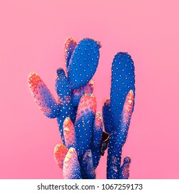 Cactus on pink. 