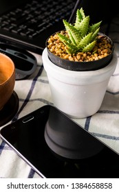 cactus on table is work space