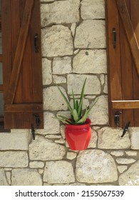 Cactus Plant Wall Street Stones Walpaper Outdoor Red Green 