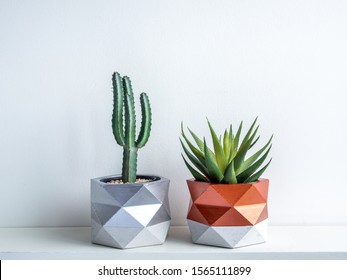 Cactus pot. Beautiful painted concrete pot. Green cactus and succulent plant in geometric concrete planters, copper and silver painted on white wooden shelf on white background.